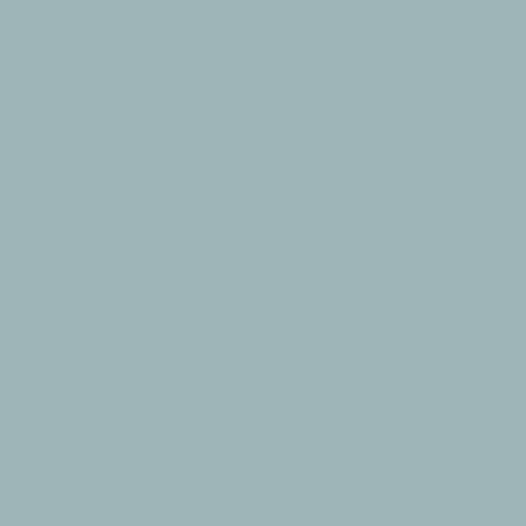 2131-60 Silver Gray - Paint Color  Benjamin Moore Paints at
